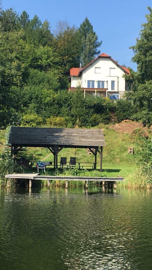 Villa The Dutchman Brodnica Dolna Экстерьер фото