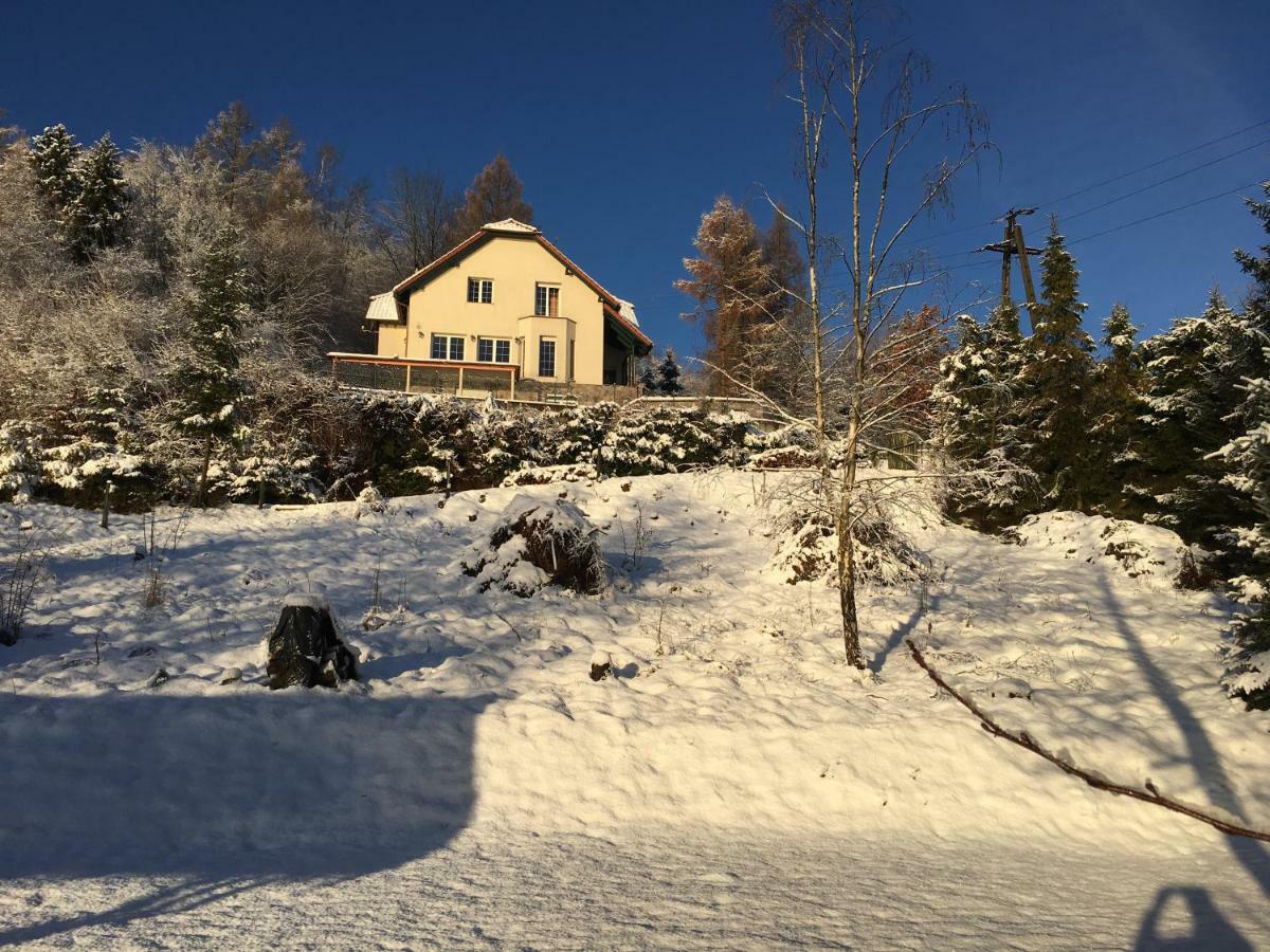 Villa The Dutchman Brodnica Dolna Экстерьер фото